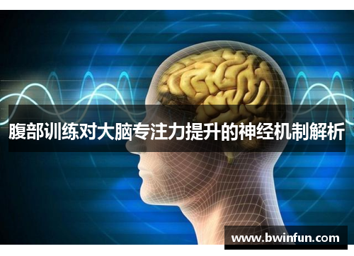 腹部训练对大脑专注力提升的神经机制解析