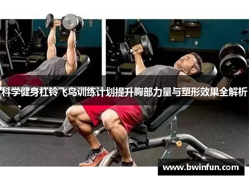 科学健身杠铃飞鸟训练计划提升胸部力量与塑形效果全解析