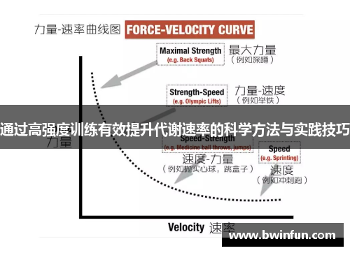 通过高强度训练有效提升代谢速率的科学方法与实践技巧